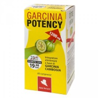 Garcinia Potency